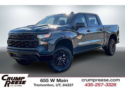 New 2026 Chevrolet Silverado 1500 Custom Trail Boss w/ Dark Appearance Package