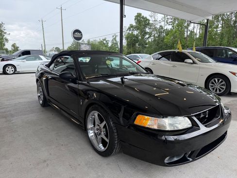Used 1999 Ford Mustang Cobra RWD image 5