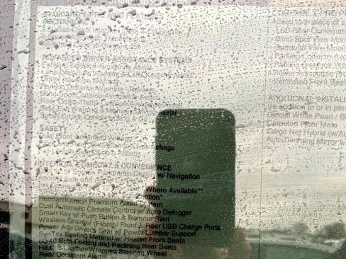 Used 2024 Kia Sportage X-Pro Prestige image 14