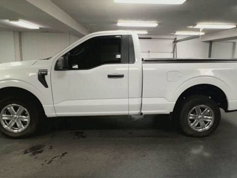 Used 2025 Ford F150 XL w/ Equipment Group 103A High RWD image 5