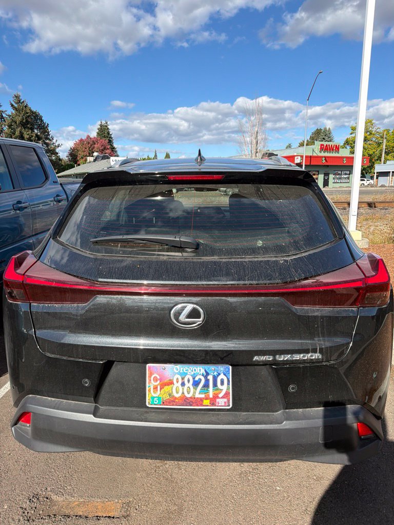 Used 2025 Lexus UX 300h AWD w/ Cold Area Package image 4