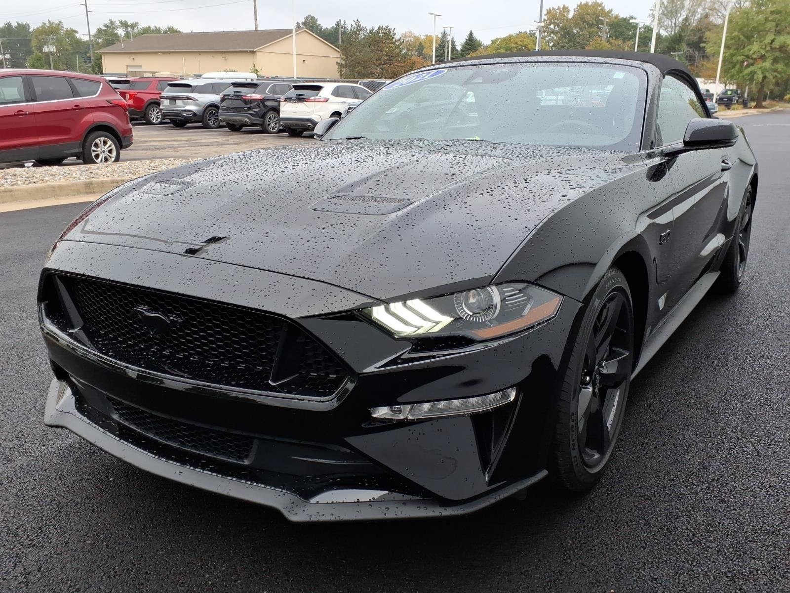 Used 2021 Ford Mustang GT Premium w/ Equipment Group 401A RWD image 3