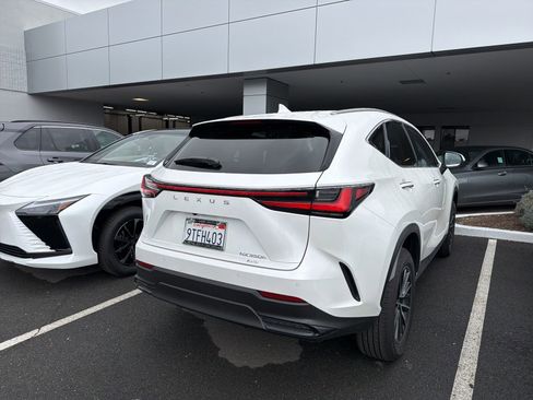 Used 2025 Lexus NX 350h AWD w/ Cold Area Package image 4