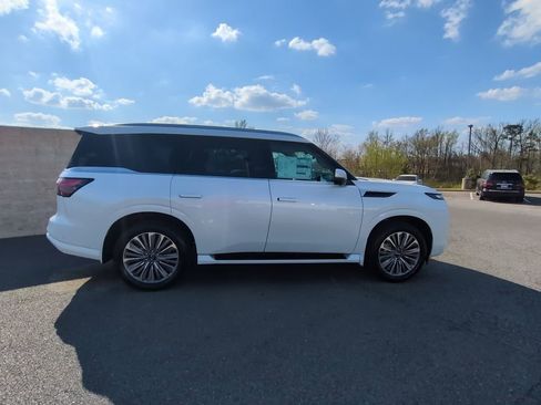 New 2026 INFINITI QX80 Luxe w/ Cargo Package RWD image 4