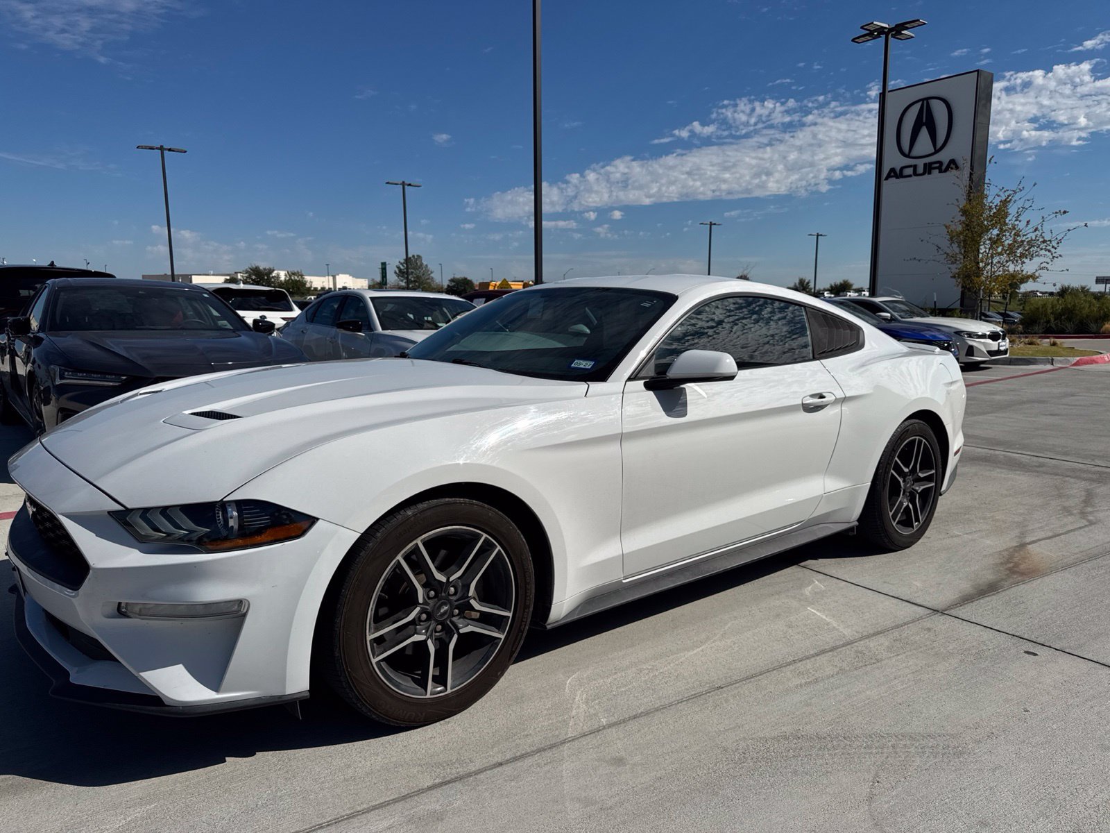 Used 2019 Ford Mustang Coupe w/ Equipment Group 101A RWD image 4