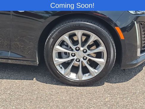 Used 2024 Cadillac CT5 Premium Luxury AWD/4WD image 13