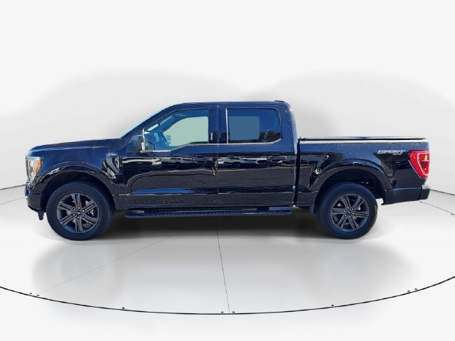 Used 2023 Ford F150 XLT w/ Equipment Group 302A High AWD/4WD image 6