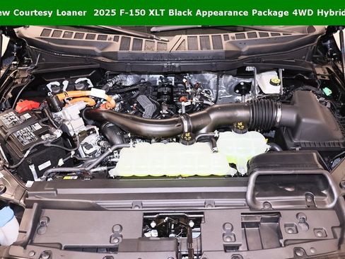 New 2025 Ford F150 XLT w/ Equipment Group 302A MID image 32