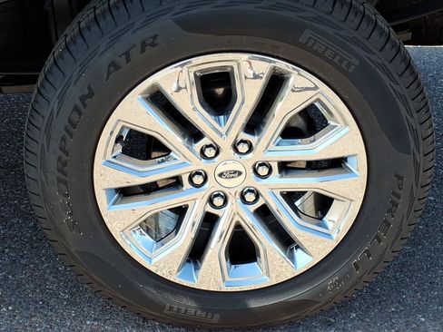 Used 2025 Ford F150 XLT w/ Equipment Group 303A High AWD/4WD image 5
