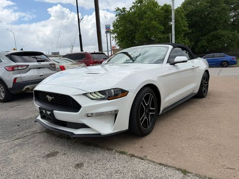 Used 2019 Ford Mustang Premium RWD image 5