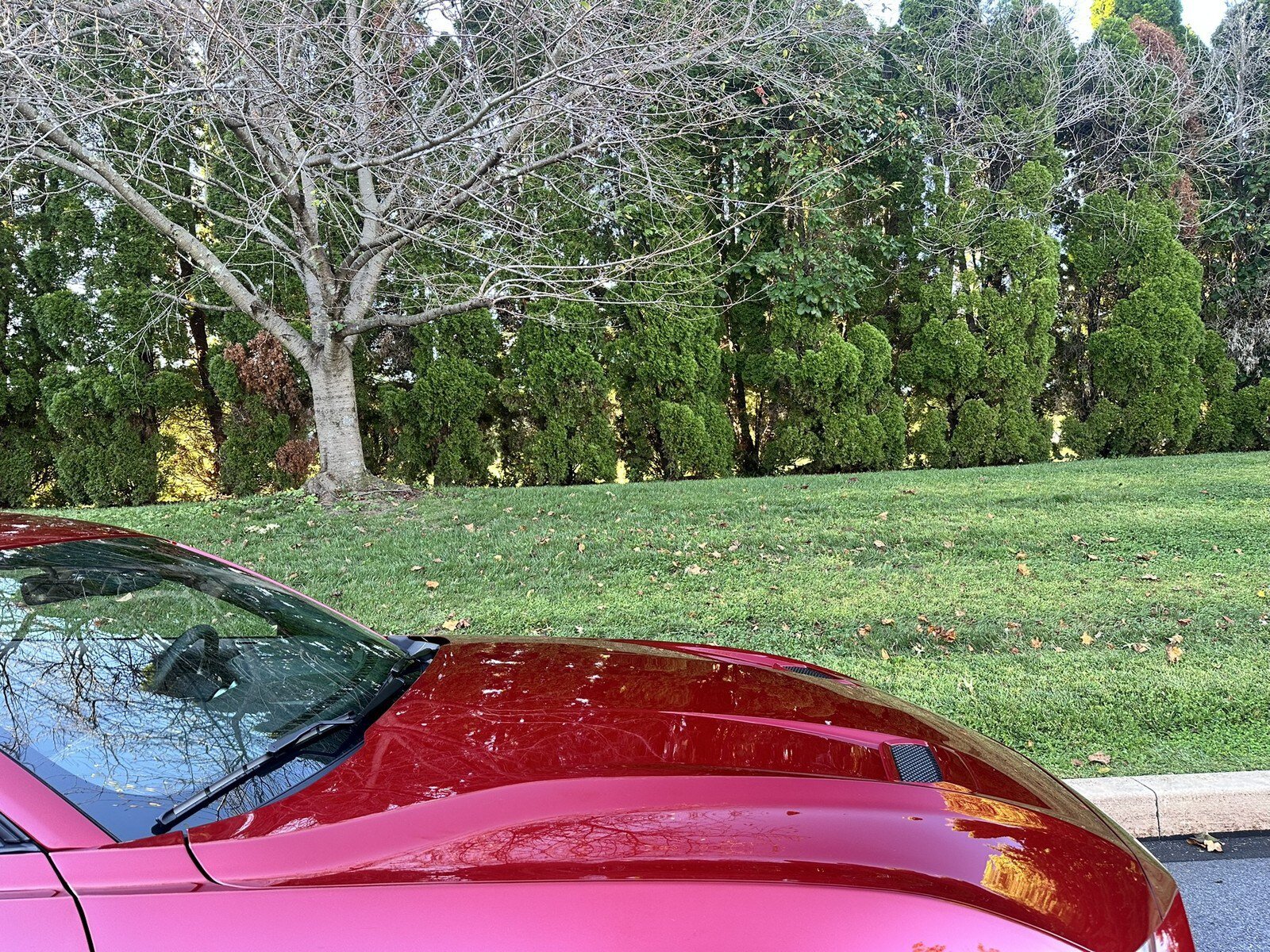 Used 2019 Ford Mustang GT Premium w/ GT Performance Package RWD image 58