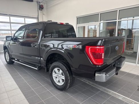 Used 2023 Ford F150 XLT w/ Equipment Group 301A Mid image 4