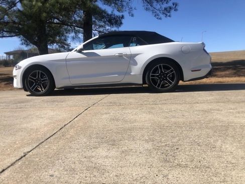 Used 2023 Ford Mustang Premium image 9