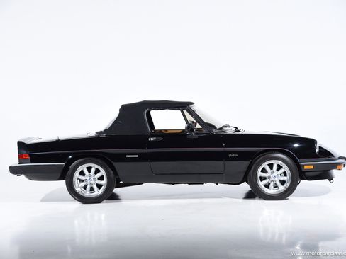 Used 1988 Alfa Romeo Spider Graduate image 15