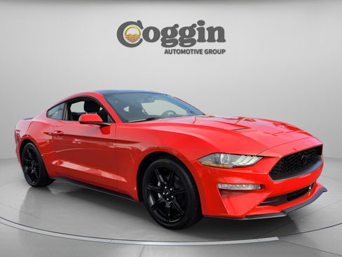 Used 2019 Ford Mustang Coupe w/ Equipment Group 101A image 7
