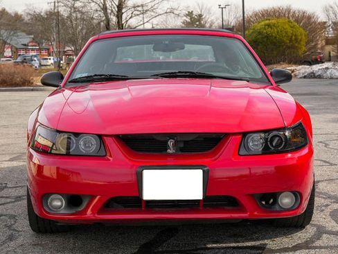 Used 1999 Ford Mustang Cobra RWD image 16