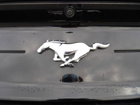 Certified 2023 Ford Mustang Premium image 12