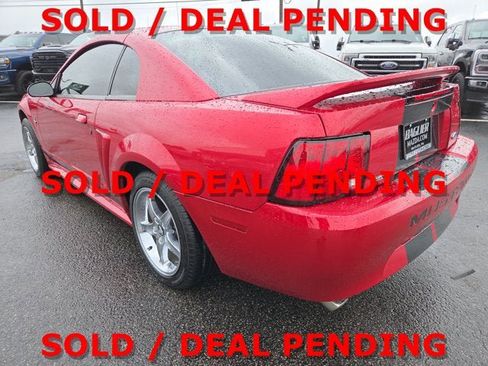 Used 2000 Ford Mustang Coupe image 4