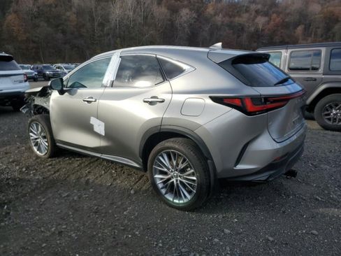 Used 2025 Lexus NX 350h AWD w/ Premium Package image 4