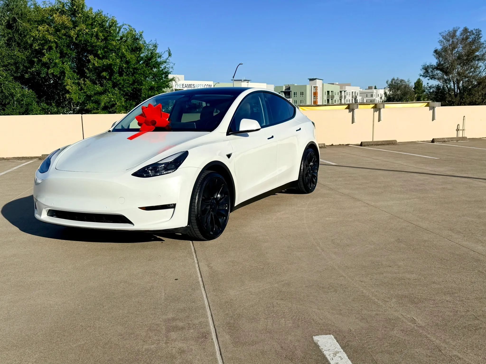 Used 2022 Tesla Model Y Performance AWD/4WD image 45