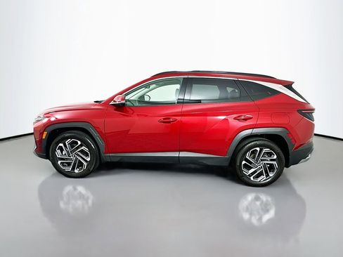 Certified 2025 Hyundai Tucson Limited image 8