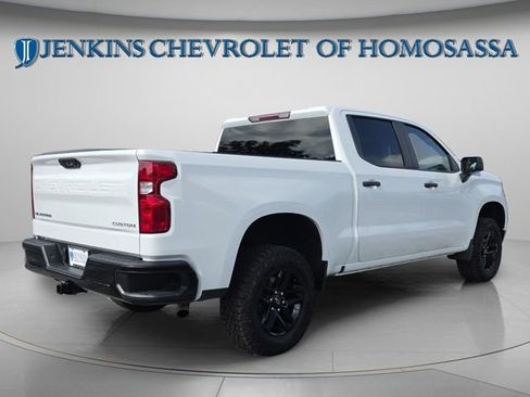 Used 2024 Chevrolet Silverado 1500 Custom Trail Boss AWD/4WD image 5