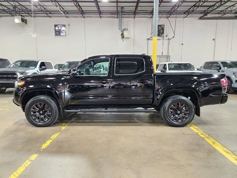 Used 2023 Toyota Tacoma Limited w/ Nightshade Package image 7