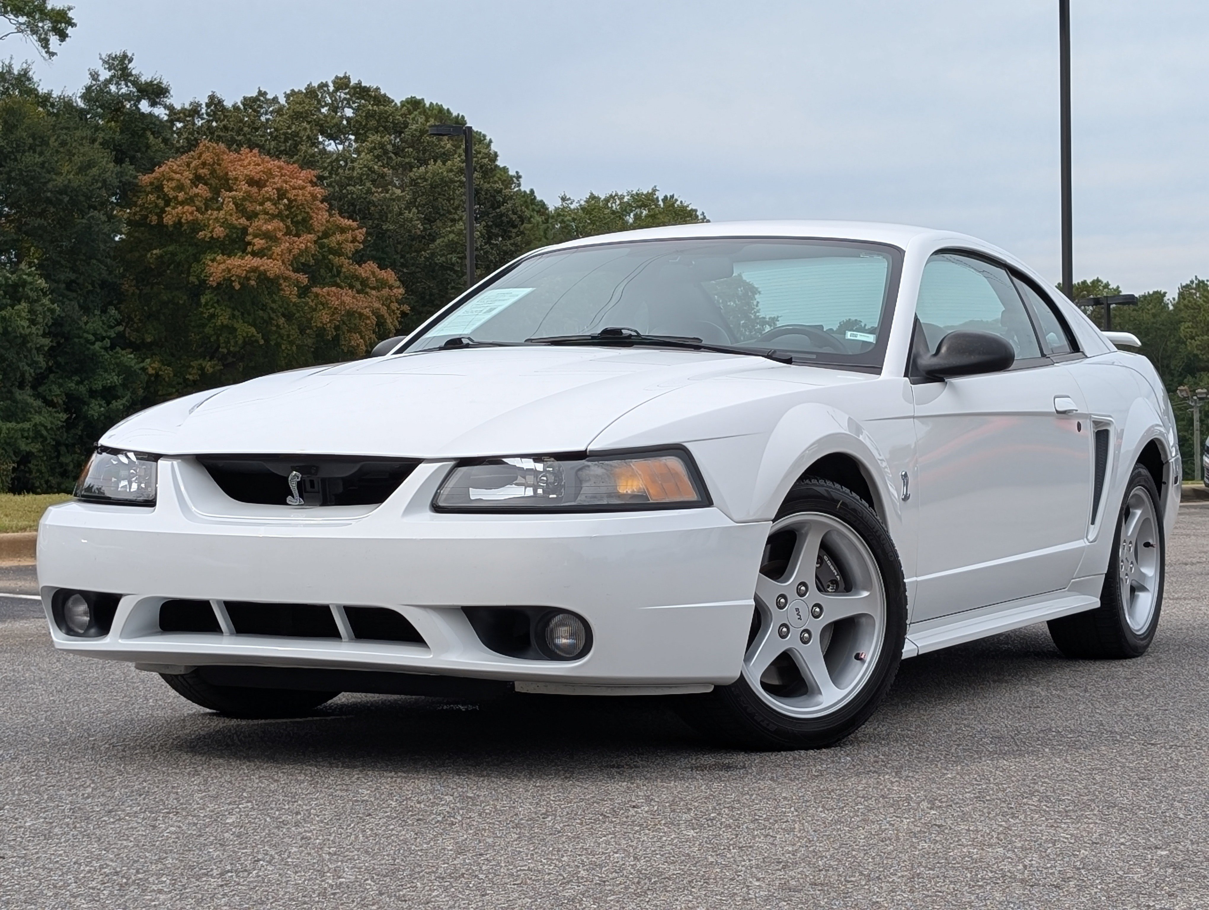 Used 2001 Ford Mustang Cobra RWD image 4