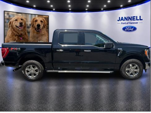 Used 2023 Ford F150 XLT w/ Equipment Group 302A High AWD/4WD image 4