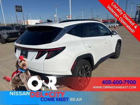 Used 2025 Hyundai Tucson Limited image 5