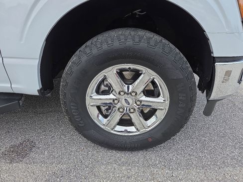 Used 2025 Ford F150 XLT w/ Equipment Group 301A Standard AWD/4WD image 7