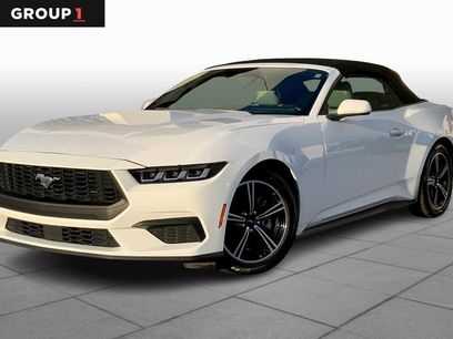 Used 2024 Ford Mustang Premium