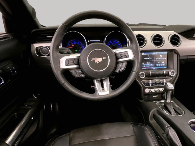 Used 2015 Ford Mustang Premium w/ Equipment Group 201A RWD image 5
