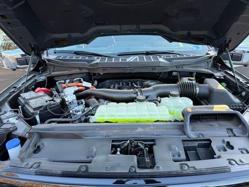 New 2025 Ford F150 XLT w/ Equipment Group 303A High image 24