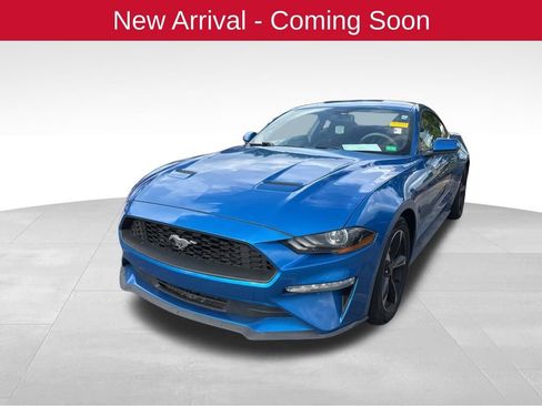 Used 2019 Ford Mustang Coupe RWD image 2