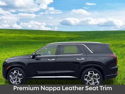 Used 2022 Hyundai Palisade Calligraphy image 10