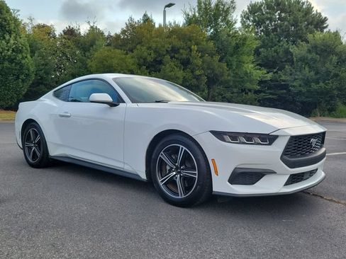 Used 2025 Ford Mustang Coupe RWD image 3
