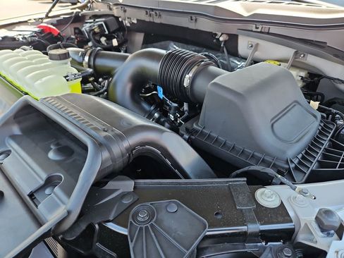 New 2025 Ford F150 STX w/ Equipment Group 200A image 15