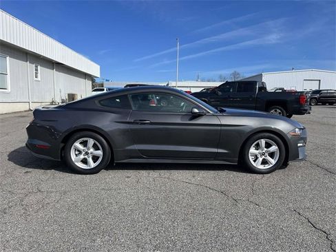 Used 2019 Ford Mustang EcoBoost image 2