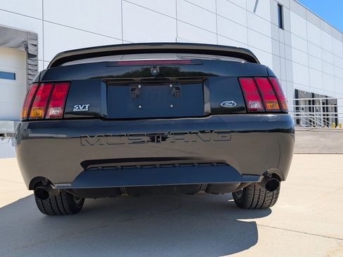 Used 1999 Ford Mustang Cobra RWD image 13