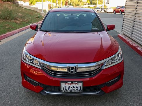 Used 2016 Honda Accord Sport image 9