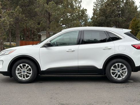 Used 2022 Ford Escape SE image 7