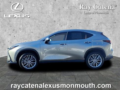 Certified 2025 Lexus NX 350 350 Premium image 4