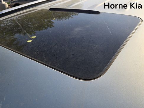 New 2026 Kia Carnival SX image 10