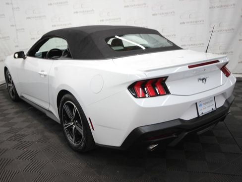 Used 2024 Ford Mustang Premium RWD image 4