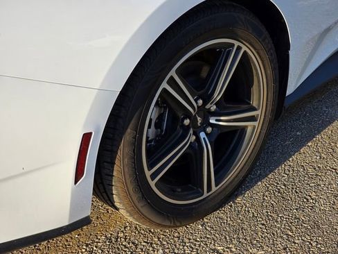 Used 2024 Ford Mustang Premium image 5