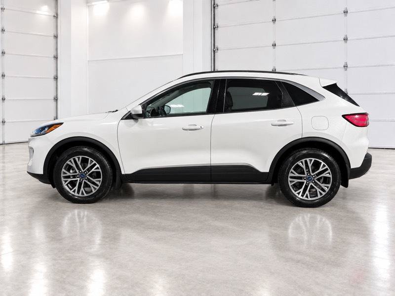 Used 2020 Ford Escape SEL AWD/4WD image 2