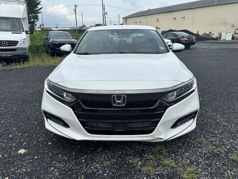 Used 2019 Honda Accord Sport image 3