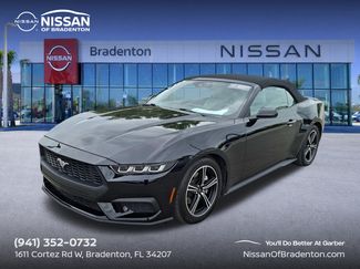 Used 2024 Ford Mustang Premium RWD video 1