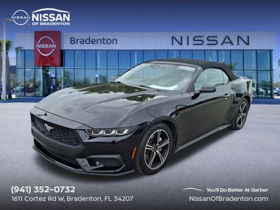 Used 2024 Ford Mustang Premium